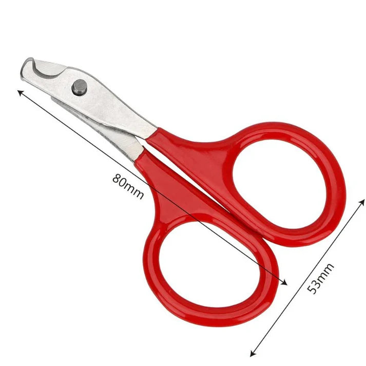 Clipping Cat Grooming Supplies