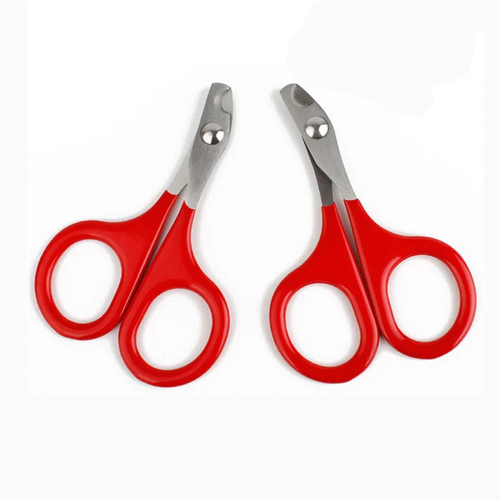 Clipping Cat Grooming Supplies
