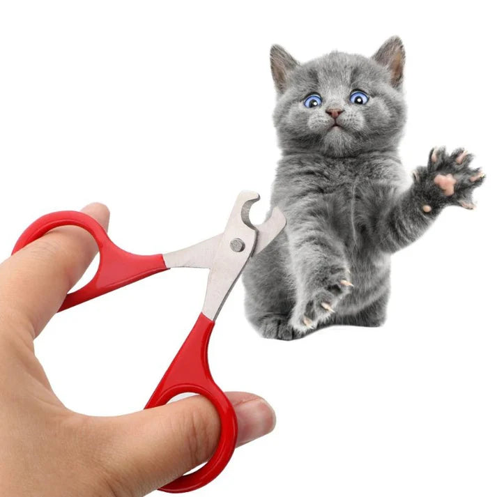 Clipping Cat Grooming Supplies